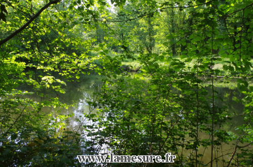 Vivre d'amour et d'eau fraîche