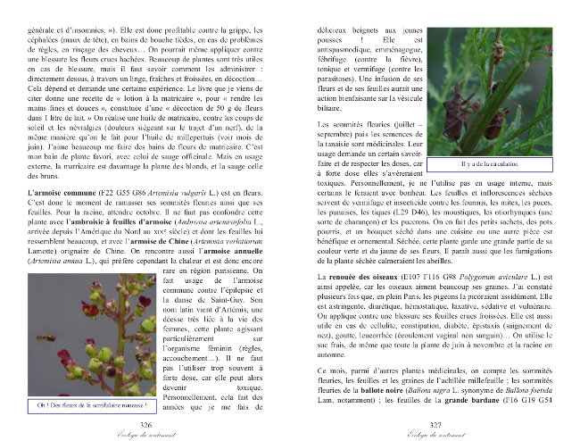 Ecologie du Sentimentt