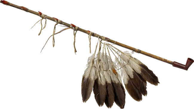 1725. Des alliés amérindiens à la cour de Louis XV